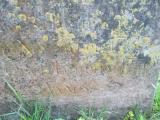 image of grave number 631722